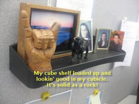 Cubicle shelf hanging on my cubicle wall