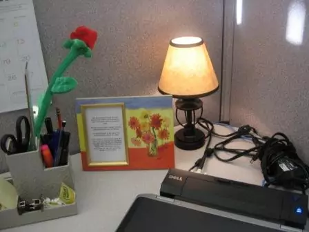 Quaint cubicle lamp in office