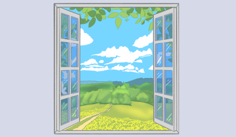 Cubicle Window Feature Image