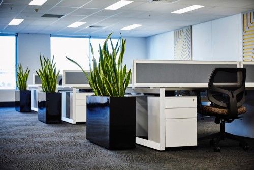 Divided Desks in an Office