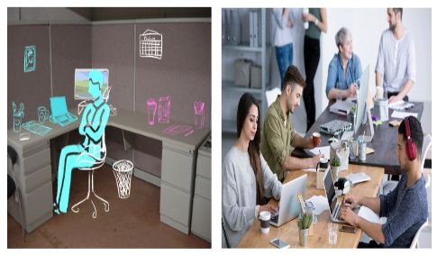 cubicle vs open office