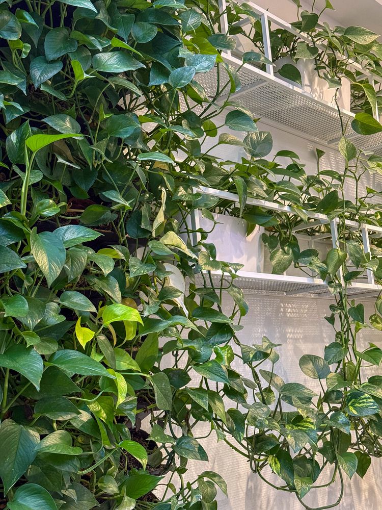 Vertical Garden Office