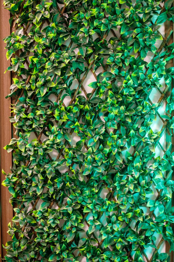 2 Biophilic OfficeDepositphotos 863808492 S