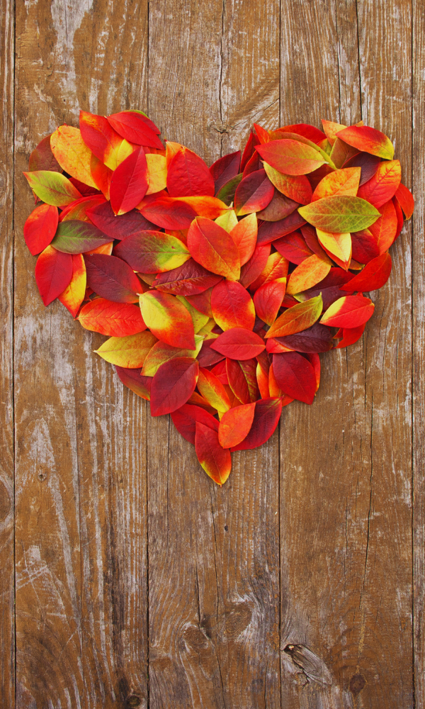 Seasonal Kitchen Wall Art