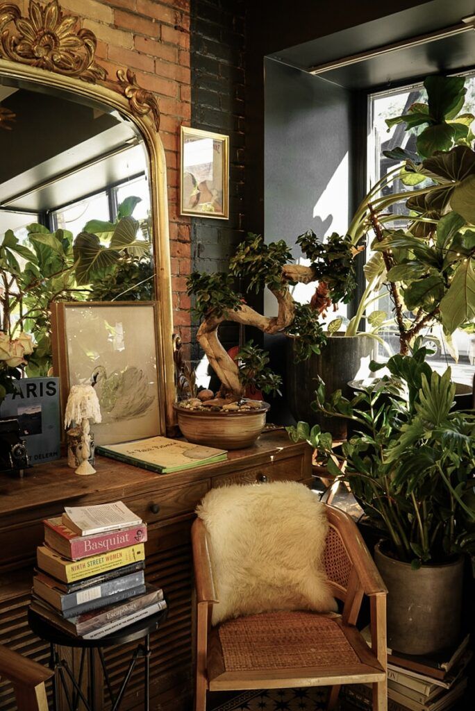 Ornate mirror above a dresser with plants and books