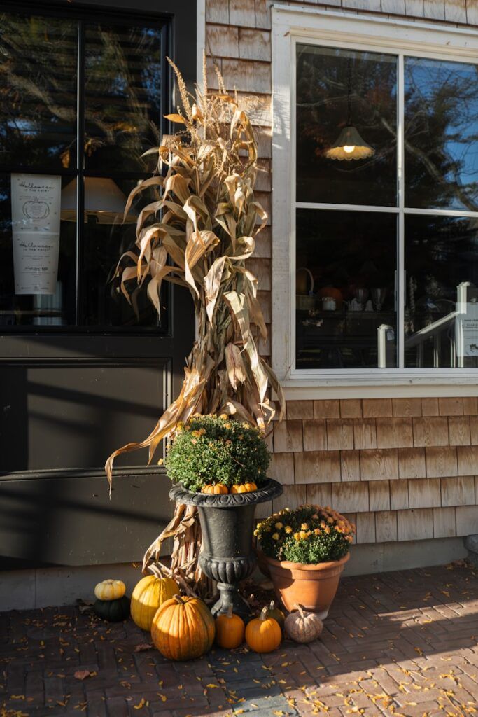 Autumn harvest decorations with pumpkins and mums outside plants.