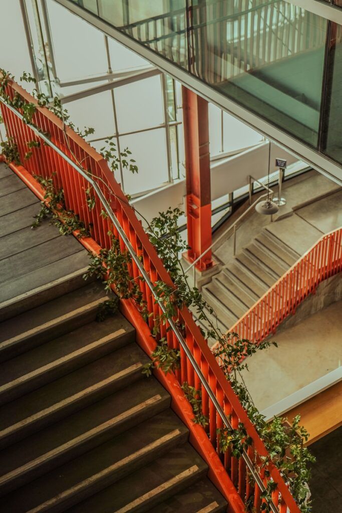 a stair case with a plant growing on it