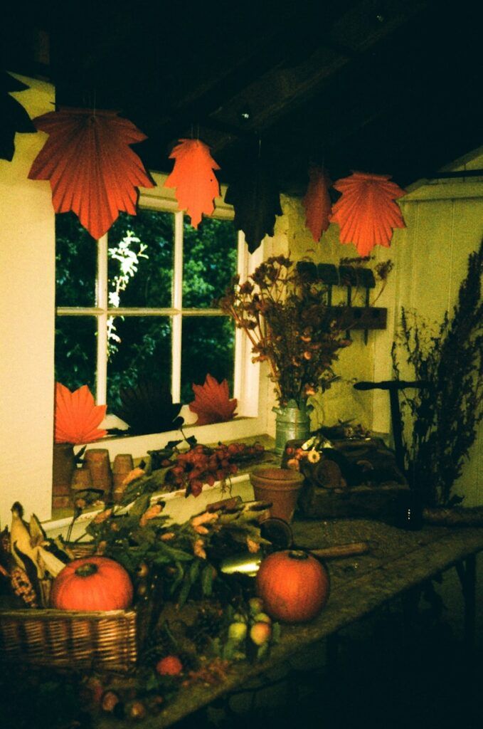 Autumn harvest display with pumpkins and leaves