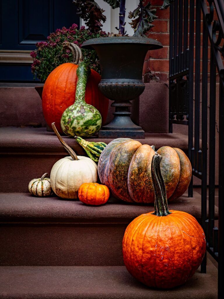 Assorted pumpkins and gourds arranged on steps