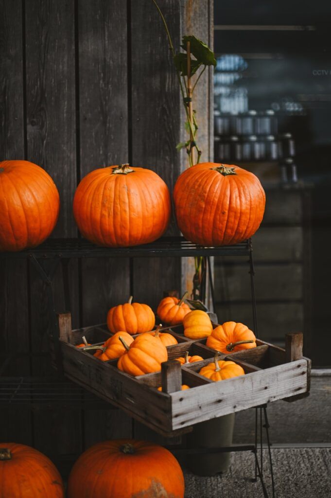 Several pumpkins displayed on shelves and in a crate