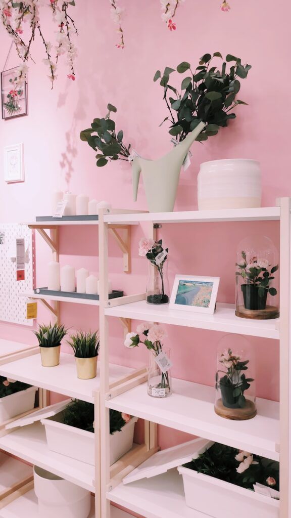 A room with pink walls and shelves filled with potted plants