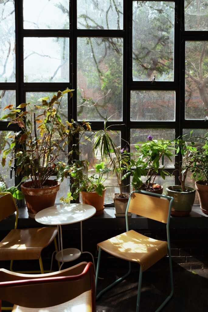 A room filled with lots of potted plants