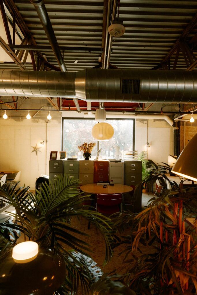 Modern office interior with plants and filing cabinets.