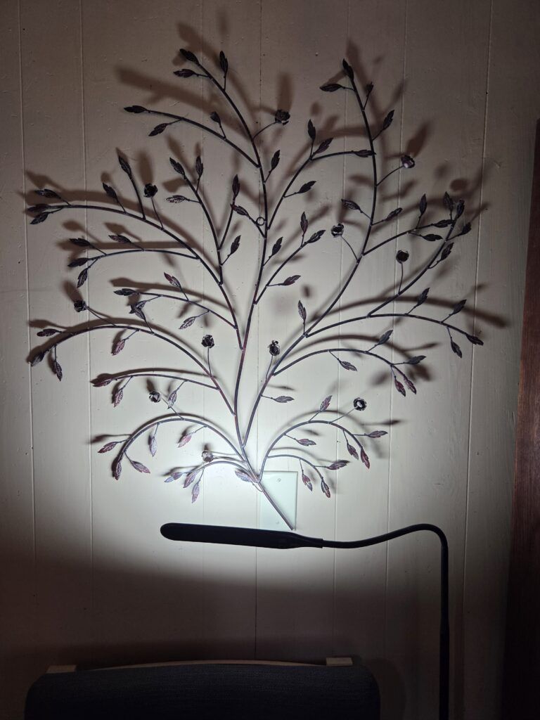 nature-inspired wall art