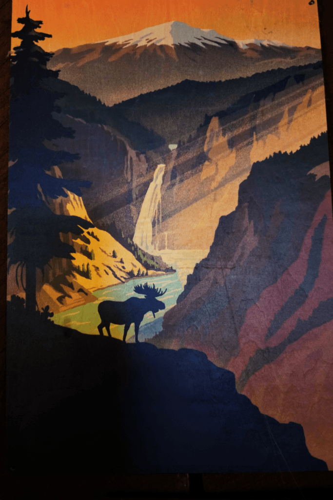 11 Nature Photography