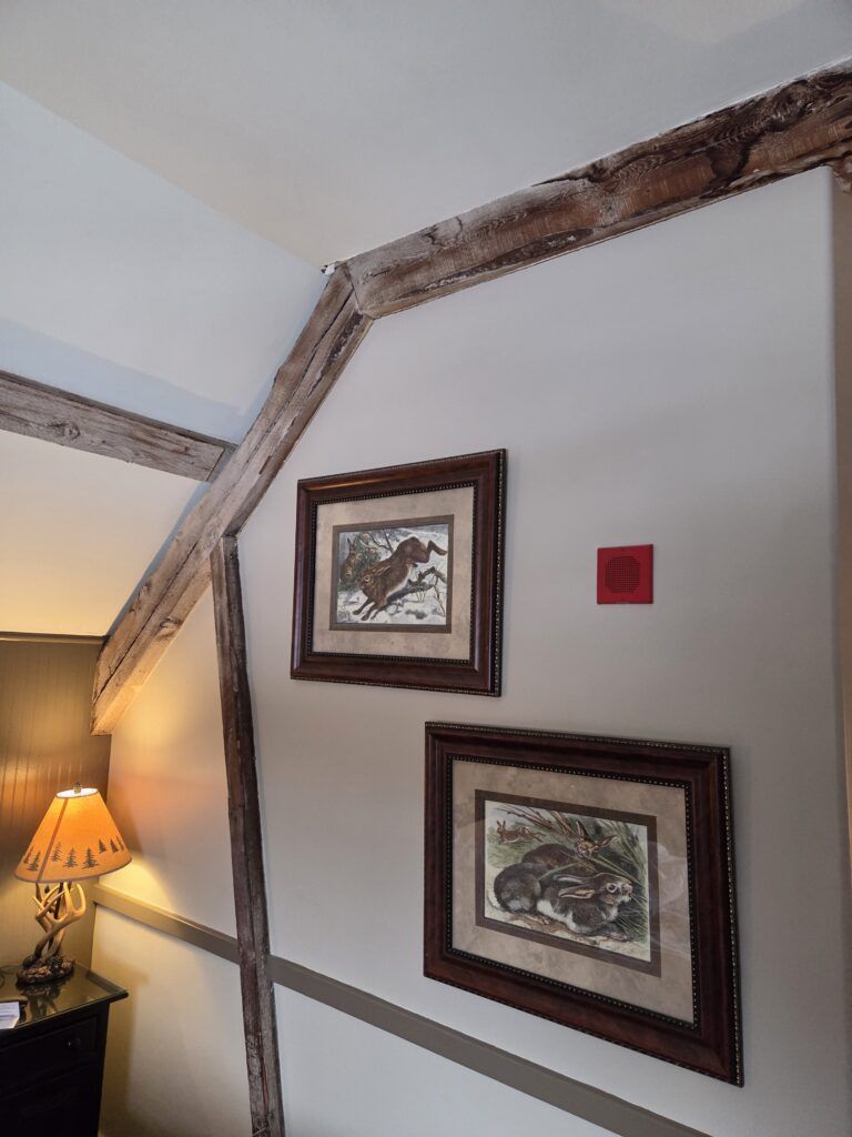 nature-inspired wall art