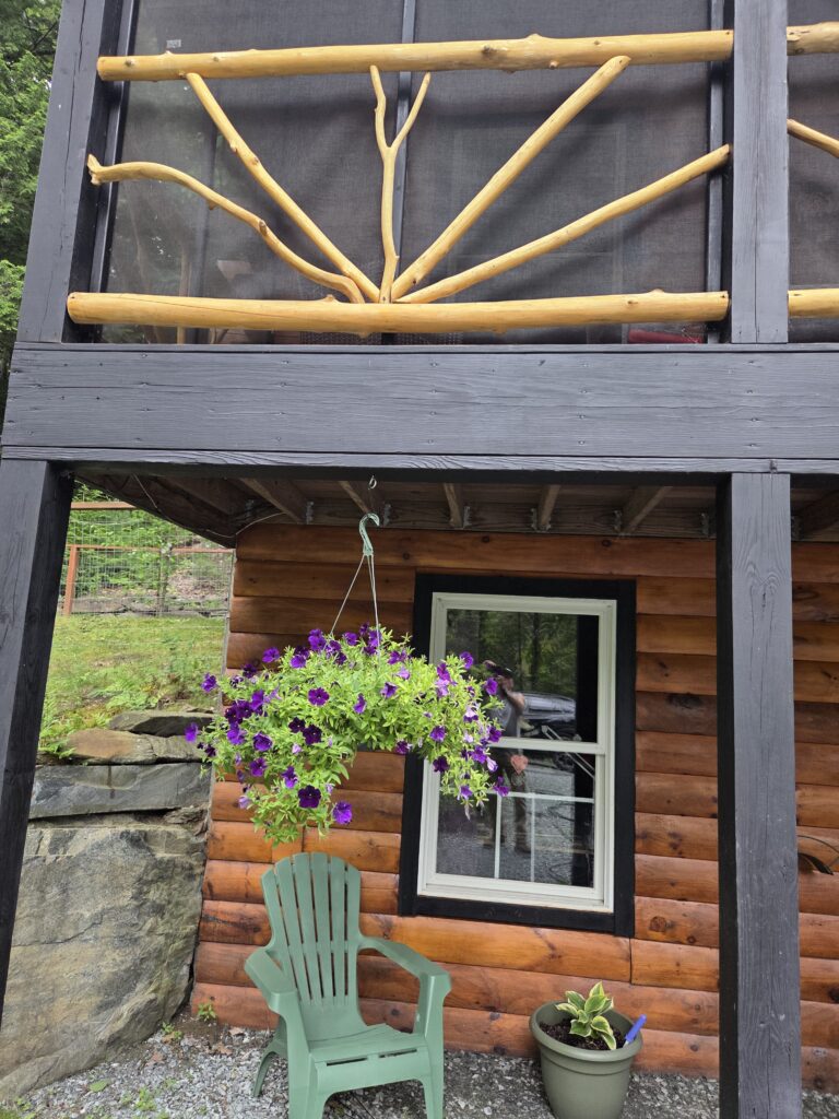 Rustic Log Railings