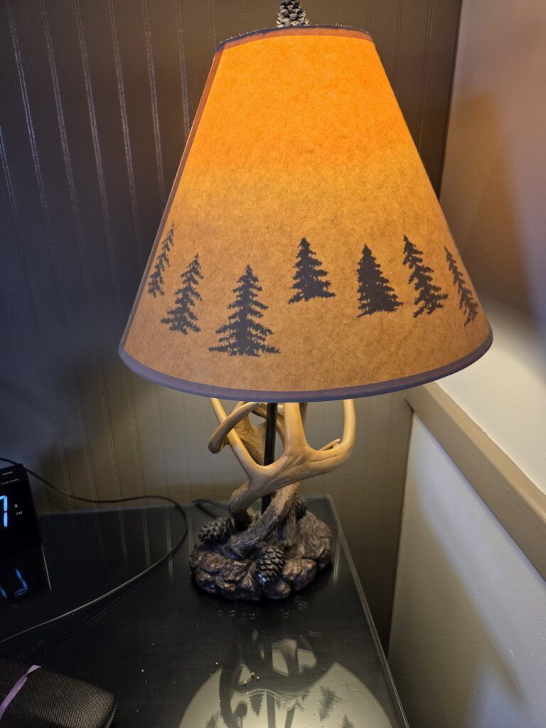 Rustic Lamp with Nature-Inspired Details