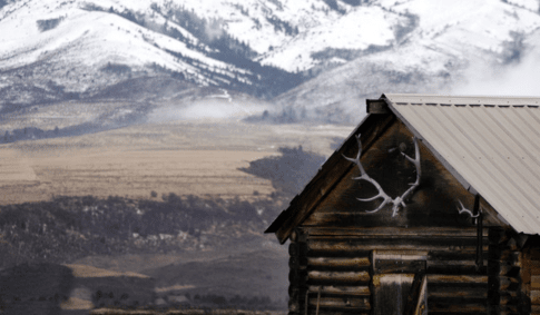 Feature Image Mountain Cabin Decor