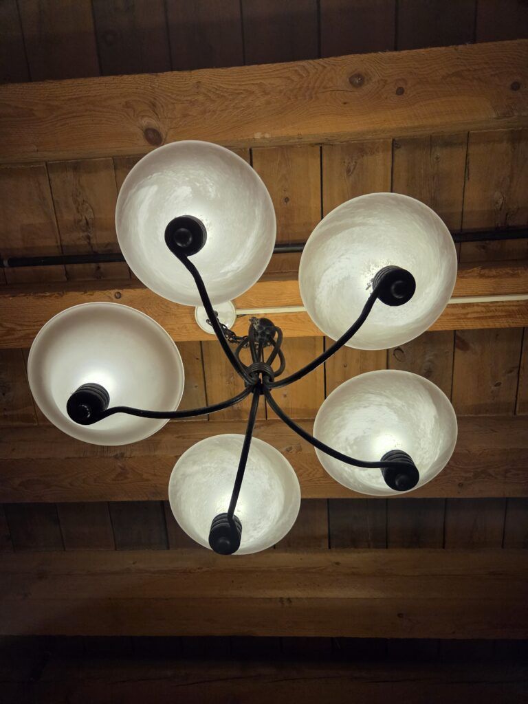  Frosted Globe Chandelier