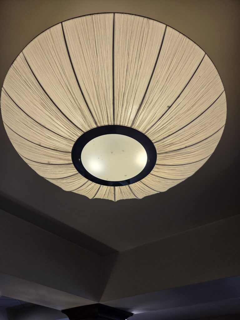 Statement Ceiling Lighting