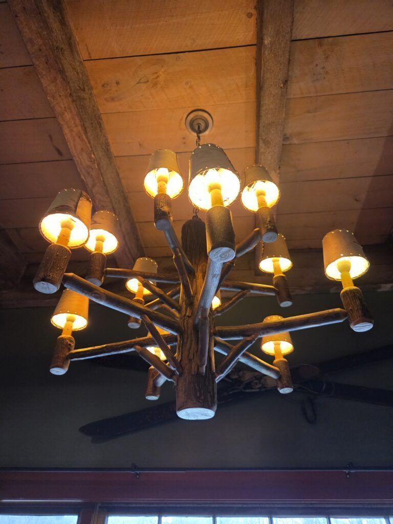 Tree Branch Chandelier