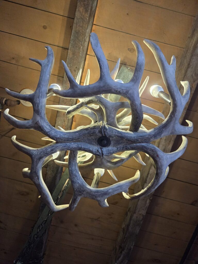 Antler Chandelier