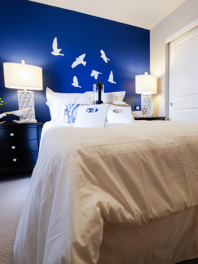 Bold Blue Accent Wall in a Master Bedroom