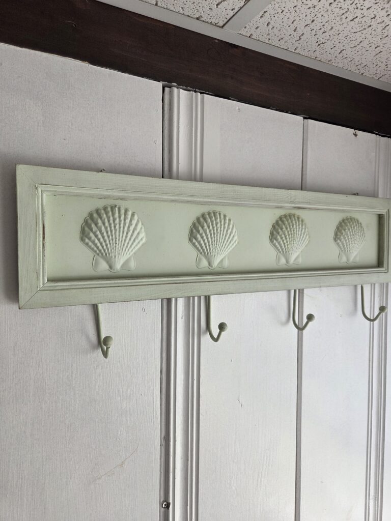 seashell hook decor