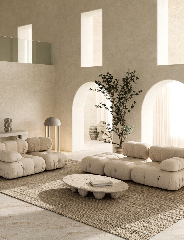 Organic Shapes in a Coastal Living Room