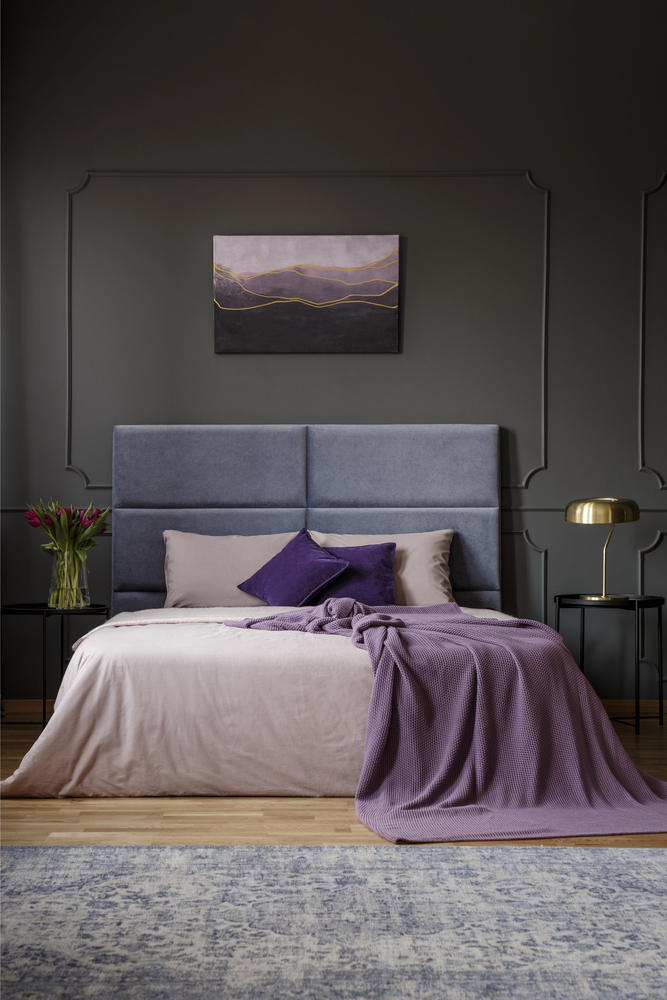 Black Accent Wall with Classic Wall Molding