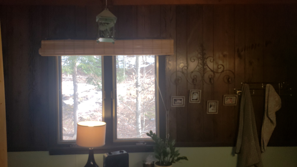 Bathroom wall before the makeover, with dark vertical paneling above a green lower wall