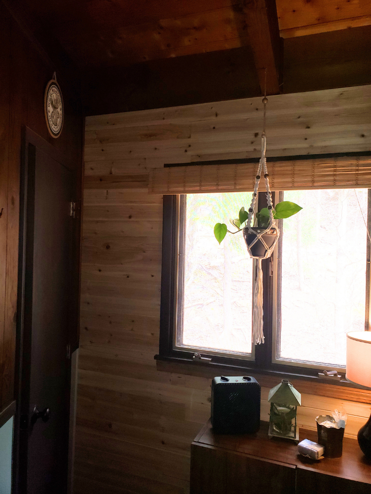 Styled bathroom with the cedar accent wall, hanging plant, and black-painted contrast walls