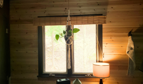Finished DIY cedar plank accent wall in a bathroom, with black-painted surrounding walls, towel hooks, and a hanging plant
