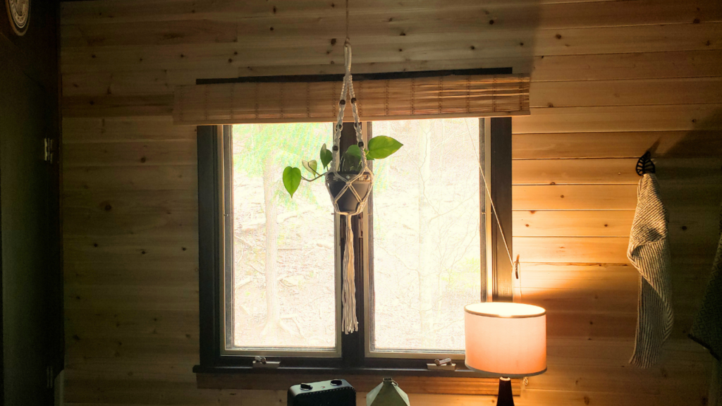 Finished DIY cedar plank accent wall in a bathroom, with black-painted surrounding walls, towel hooks, and a hanging plant