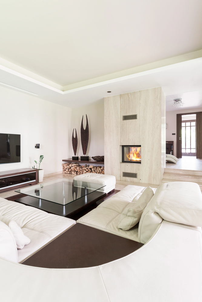 Clean and Contemporary Fireplace Living Room